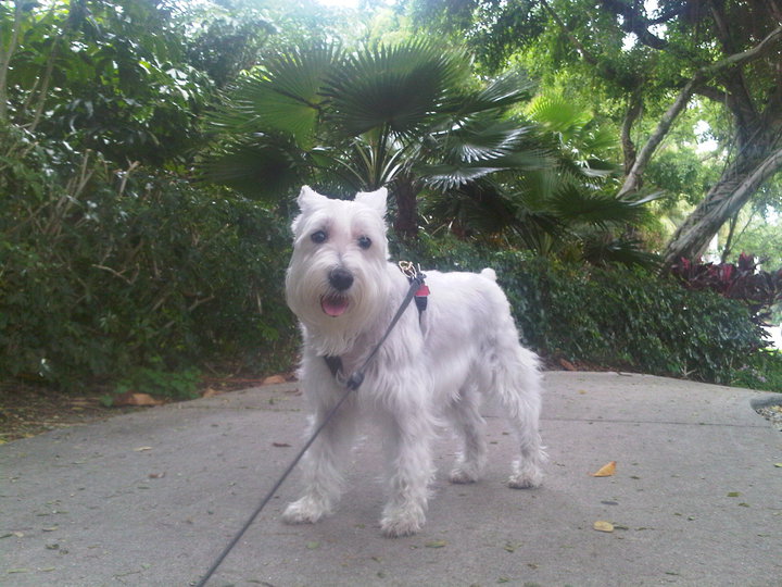 25890_1442686029270_1296670375_1217229_412042_n