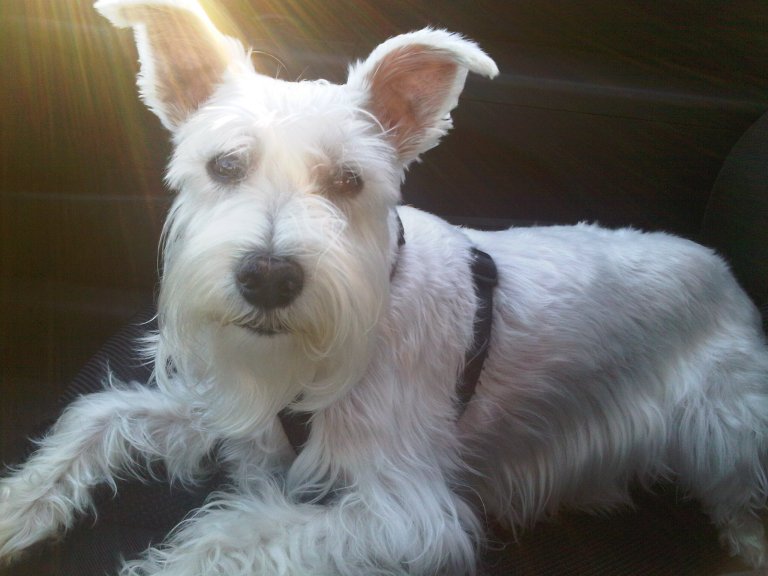 IMG00203-20100331-1830