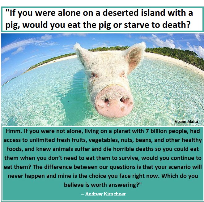 558056_374512622662526_689753672_n